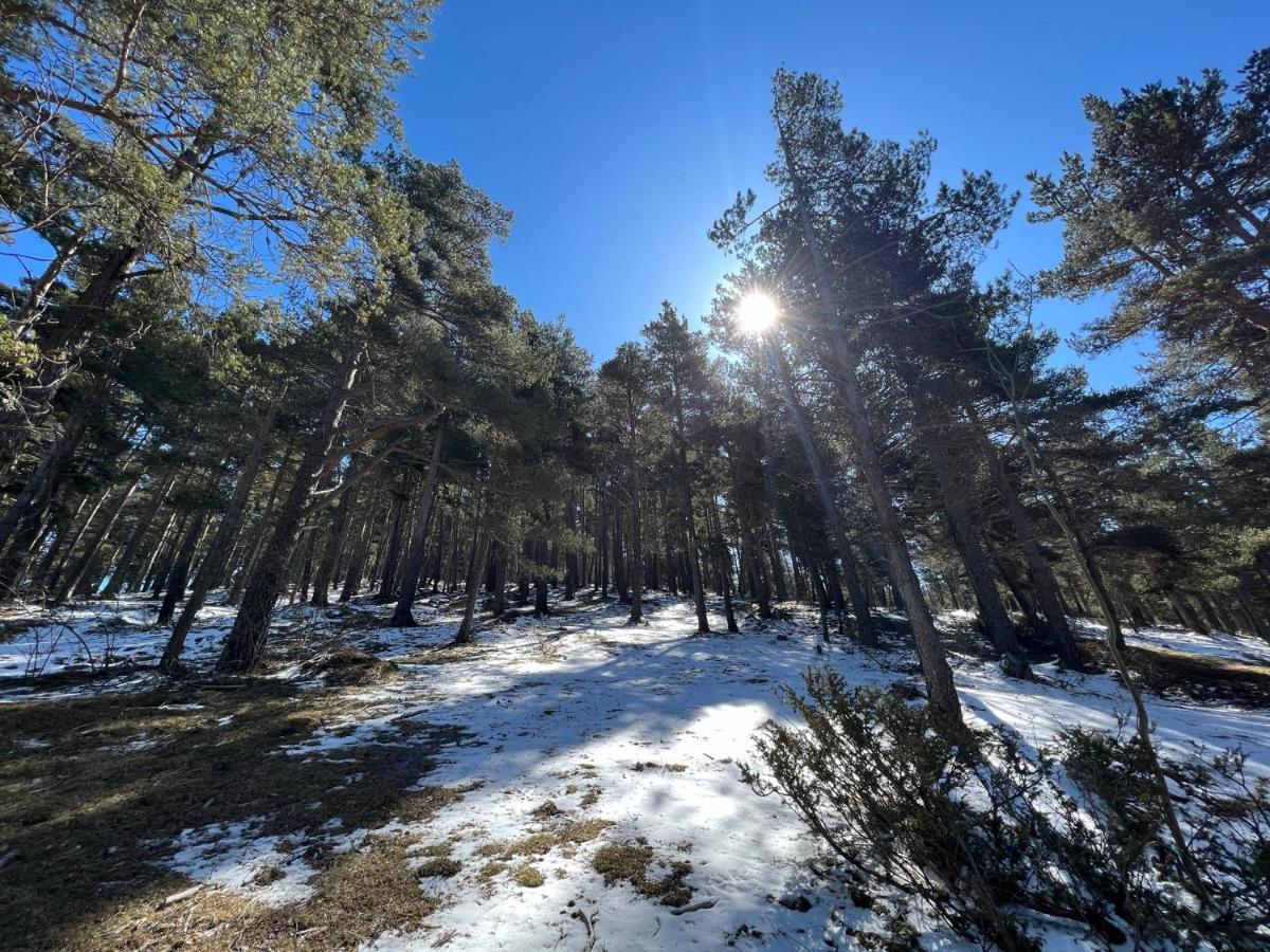 Precioso Apartamento En La Molina La Molina  Eksteriør billede